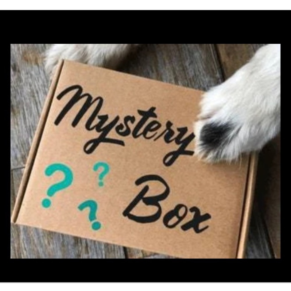🐕🐾LAST ONE!📦LOADED🐶SMALL DOG/PUPPY MYSTERY BOX🧸